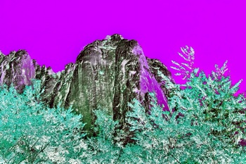 L 019F